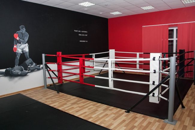 Ринг боксерский Харламов-Спорт напольный на упорах (размер в ассортименте)